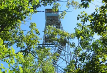 Stissing Fire Tower near Brook n Wood Campground