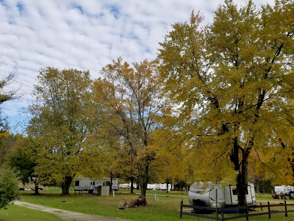 RVs among fall foliage at Brook N Wood