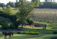Clinton Vineyards & Winery near Brook n Wood Campground